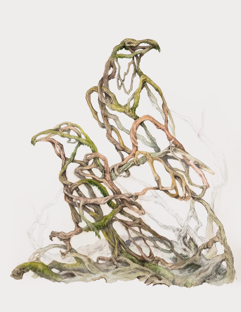 Watercolour painting of a sparse collection of tree roots in the shape of the outline of two perching ravens.
