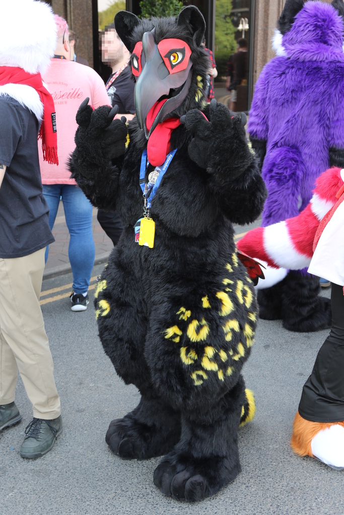 Full-body photograph of an Abyssinian ground hornbill gryphon fursuiter outdoors, among other fursuiters. They are mostly black, with yellow markings on their thighs and red on their wattle and face.