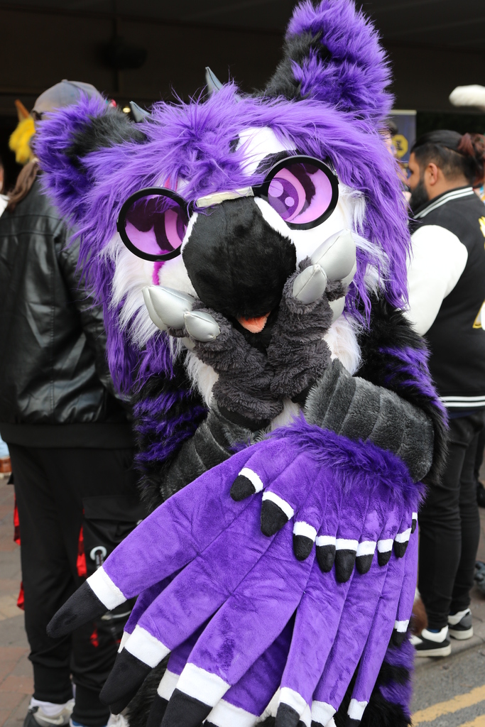 Half-body portrait photo of a purple and black gryphon fursuiter. They are posing with their forepaws on their cheeks, showing off their arm-wings and looking cute.